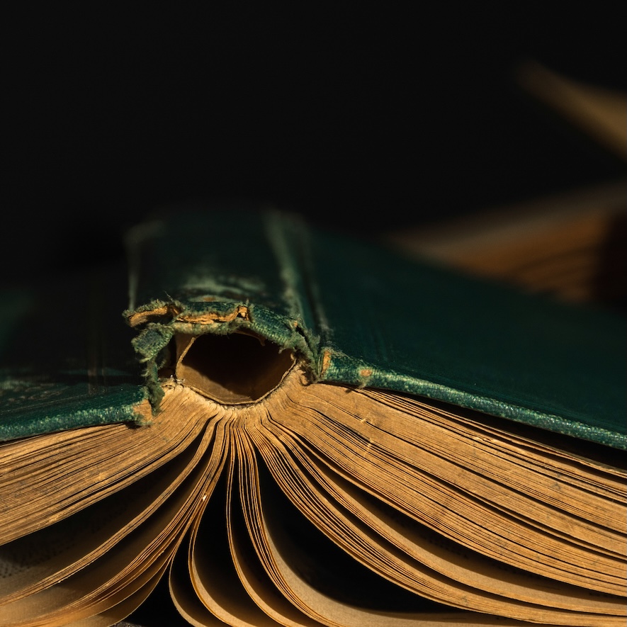A strong university doesn't emerge on its own. It needs conditions: stable governance, functioning healthcare, trust in law and knowledge. Where these exist, universities produce not just professionals, but people capable of shaping the future. These texts show how the environment makes the university possible.